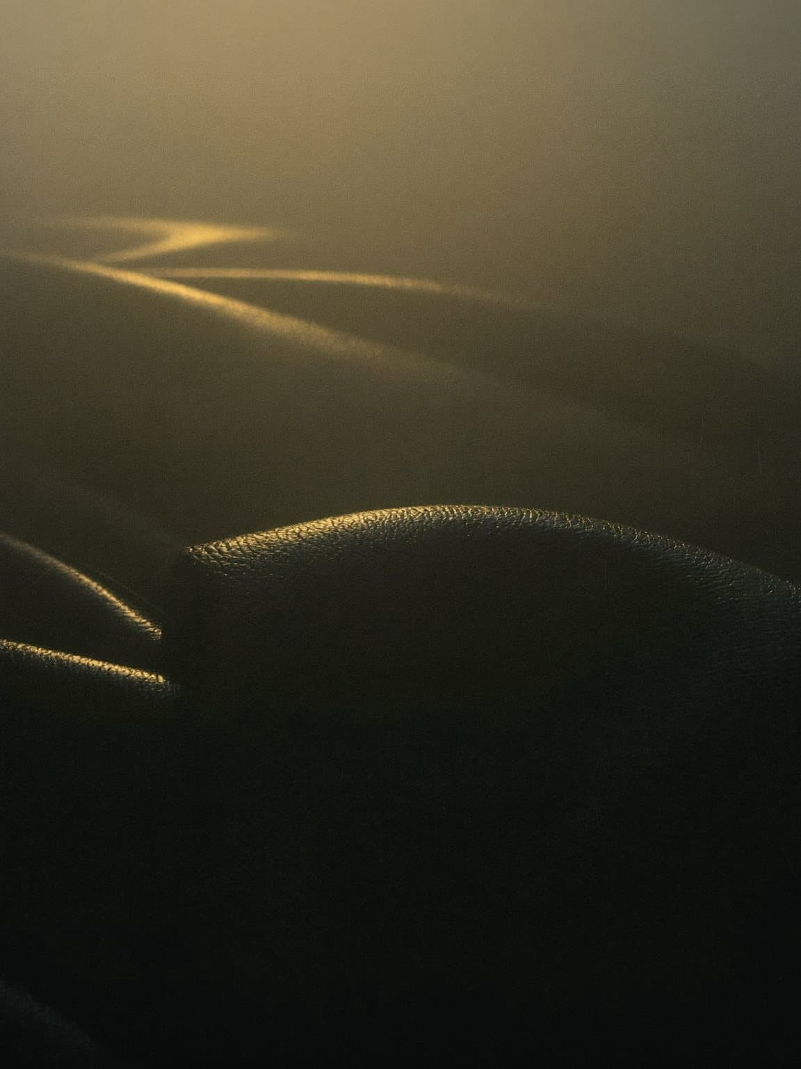 Leather, rising